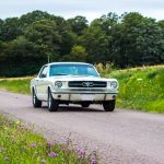 Ford Mustang 289 77- Ford Mustang