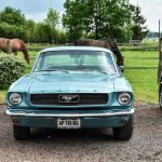Ford Mustang 5- Ford Mustang