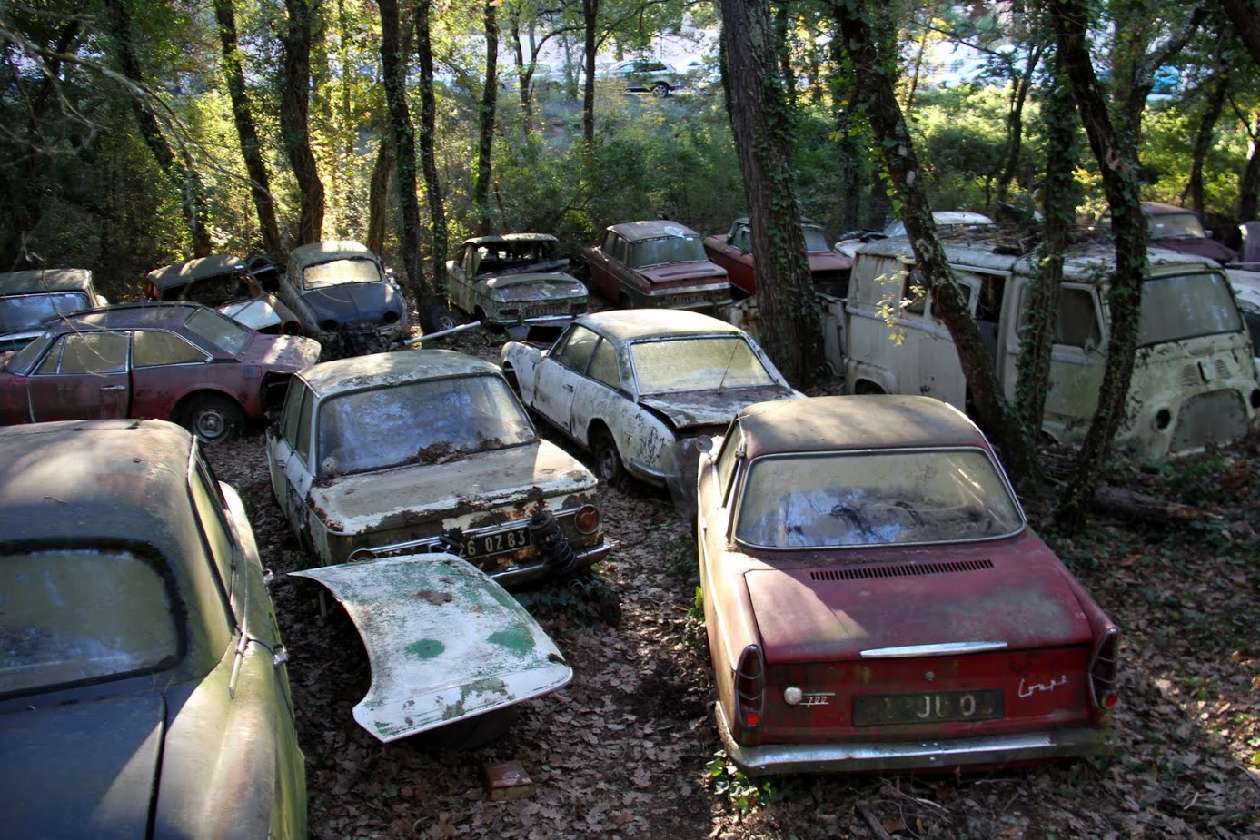 La Visite de la Collection La Gombe, un spectacle macabre…