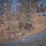 Rallye Monté Carlo Historique 2017 par Guillaume 39-