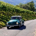 rallye entre Vignes et montagnes Alsace- Rallye Entre Vignes et Montagnes