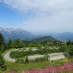 La route en fleur- Rossfeld Panorama