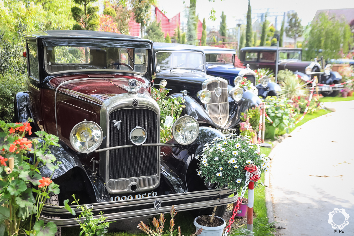 Expomobile à la Jardinerie Laplace : des autos et des fleurs