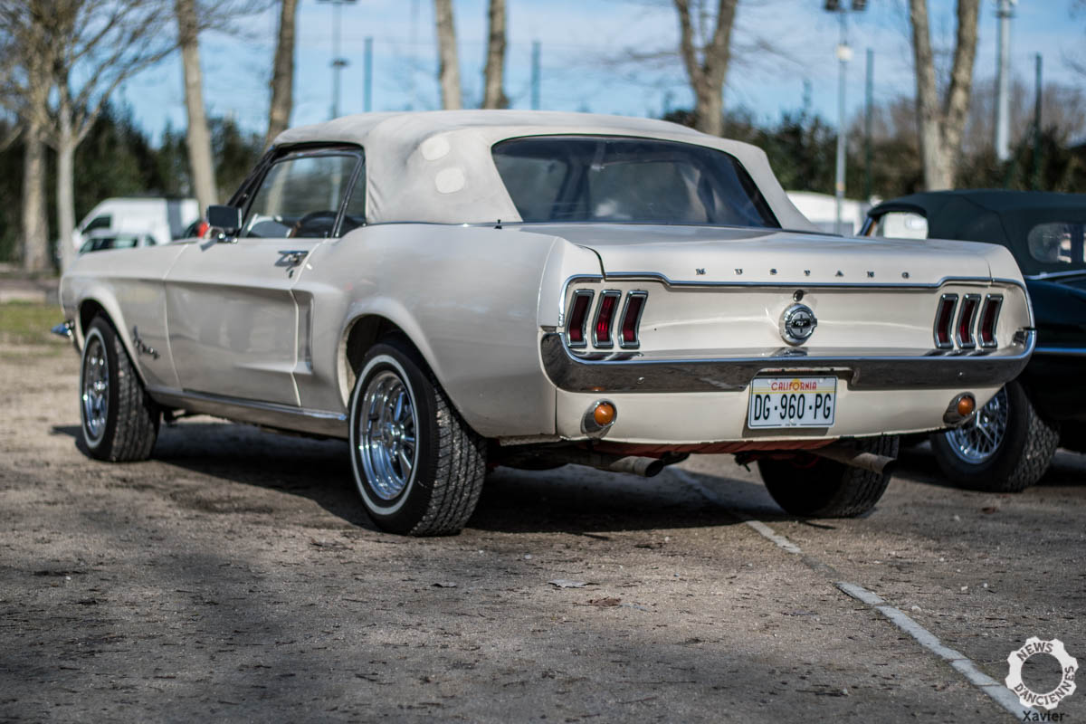 Ford Mustang MkI & II, cheval en liberté ! - News d'Anciennes