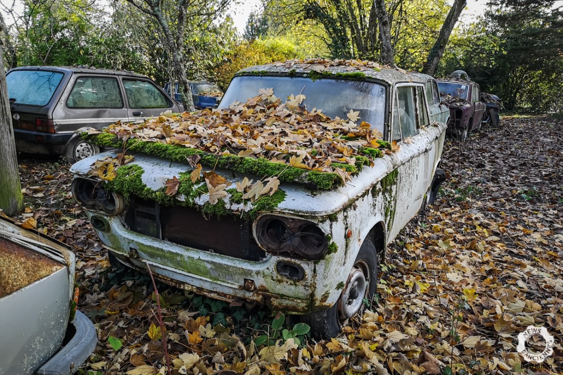 Restauration voiture ancienne : comment restaurer une vieille voiture?