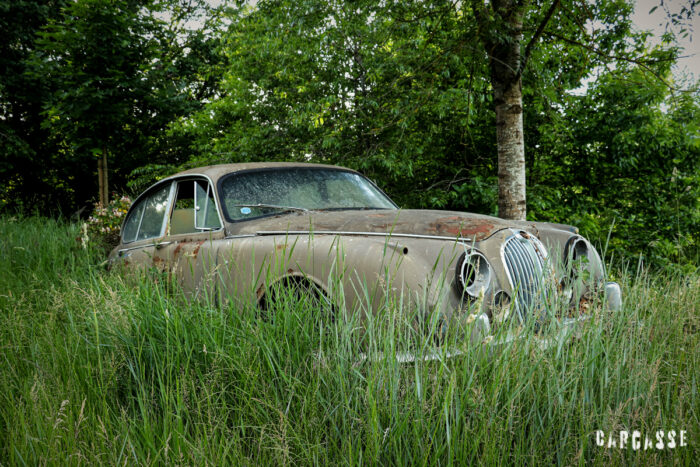 Nos Anciennes Abandonnees Les Jaguar 5-