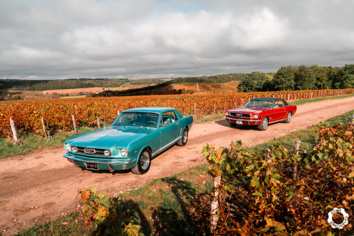 Ford Mustang 1966 par Mark pour News dAnciennes 2-