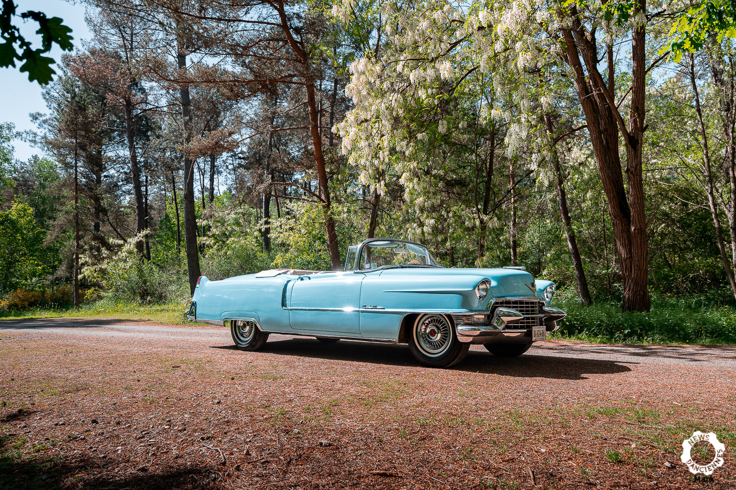 Au volant d’une Cadillac Serie 62 Cabriolet, fidèle à son image