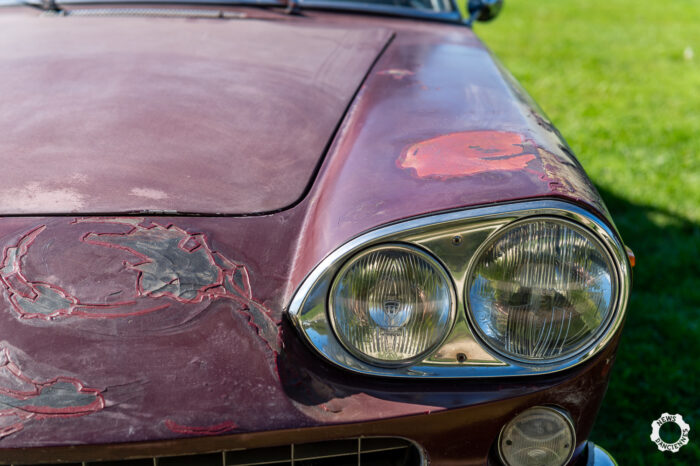 Chantilly Arts Elegance 2026 Paul Langlard Photography 14- Chantilly Arts & Elégance 2026